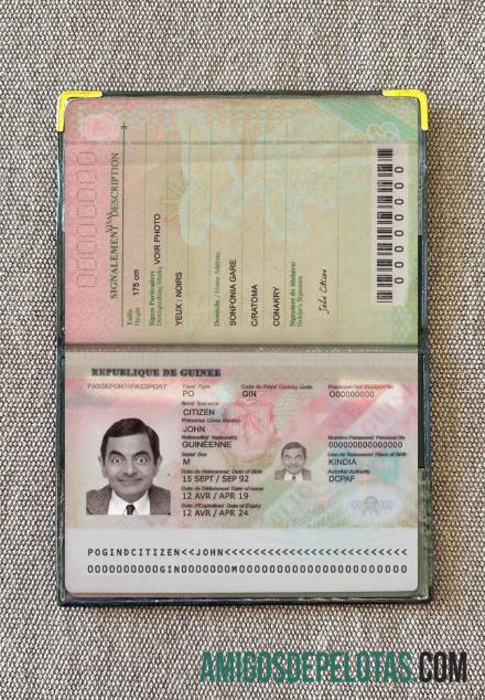 Passaporte da Guiné (presente em 2018) Visual fotográfico modelo